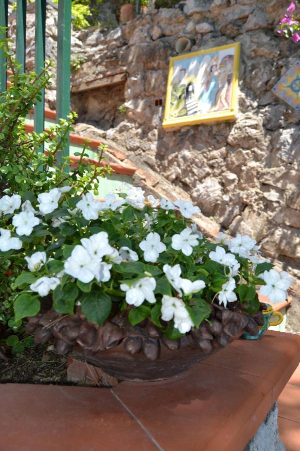 Bouganvillea Casa vacanze *
